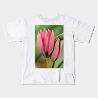 Tulipa  &#39;Little Beauty&#39;  AGM  Tulip  Miscellaneous tulip Kids T-Shirt